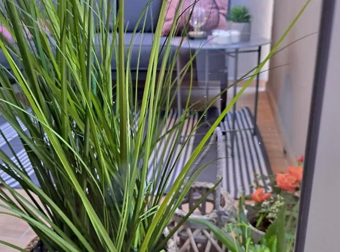 公寓 Zoya Del Mar 普拉