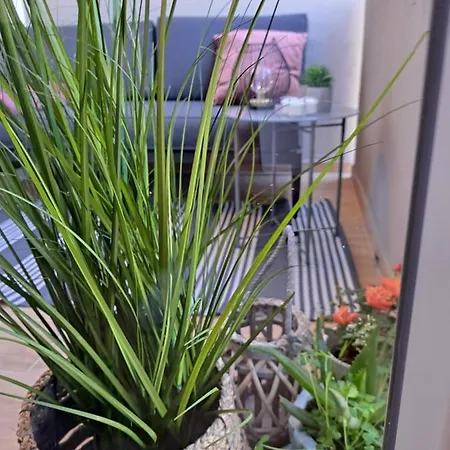 Apartmán Zoya Del Mar Pula