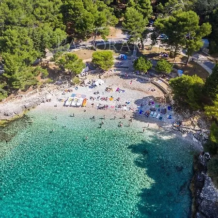Zoya Del Mar Apartment