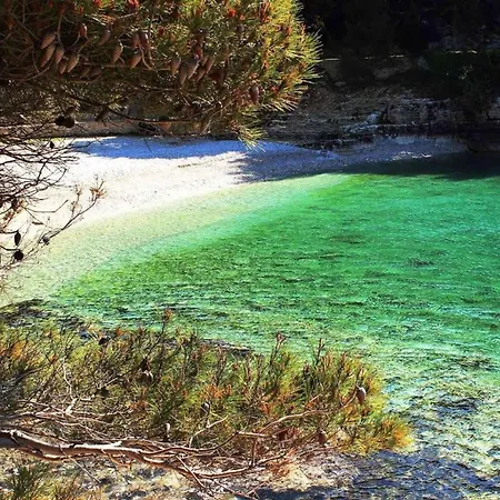Zoya Del Mar פולה